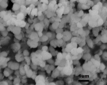Yttrium Oxide Nanopowder | Y2O3 Nanoparticles